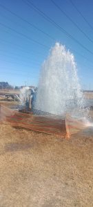 img 20230731 120519 resized 20250923 103306788