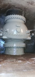 img 20241001 160053 resized 20250923 102923992