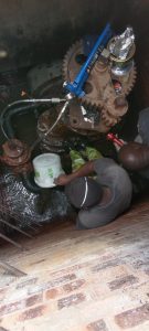 img 20241014 133116 resized 20250923 102924201