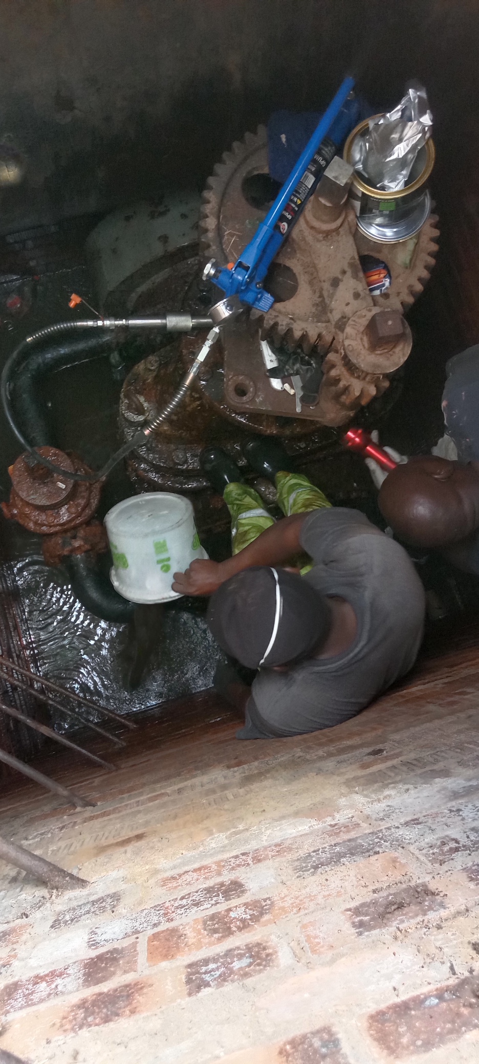 img 20241014 133116 resized 20250923 102924201