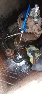 img 20241014 133125 resized 20250923 102924616