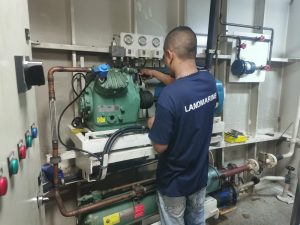 whatsapp image 2025 08 18 at 17.39.51(1)