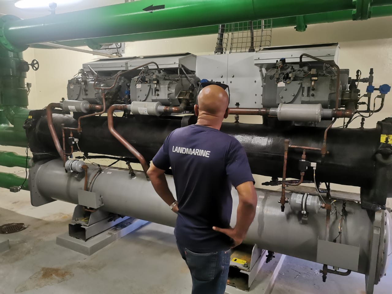 whatsapp image 2025 08 18 at 17.39.52